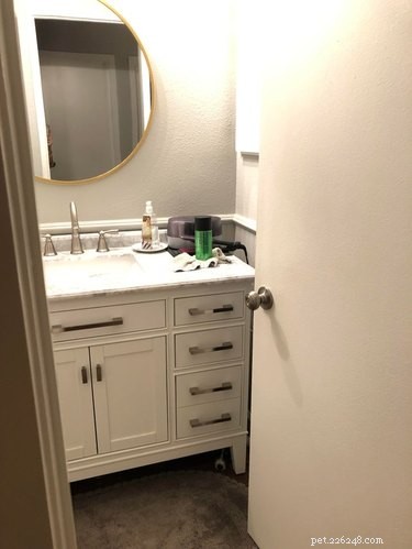 Top 20 Dog Breeds That Excel at Hide-and-Seek