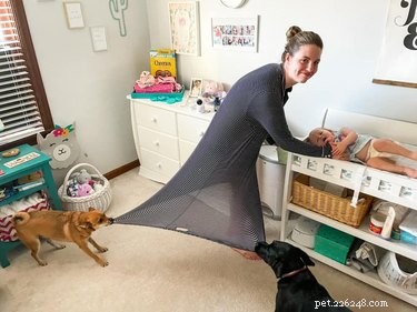 17 Hilarious Pet Moments That Will Bring Joy to Your Day