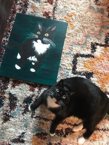 17 Hilarious Pet Moments That Will Bring Joy to Your Day
