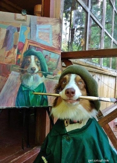 18 Heartwarming Pet Pictures Guaranteed to Bring a Smile