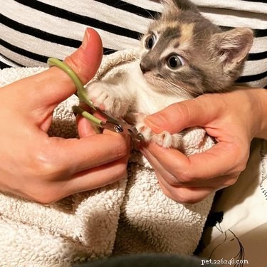 18 Heartwarming Pet Pictures Guaranteed to Bring a Smile