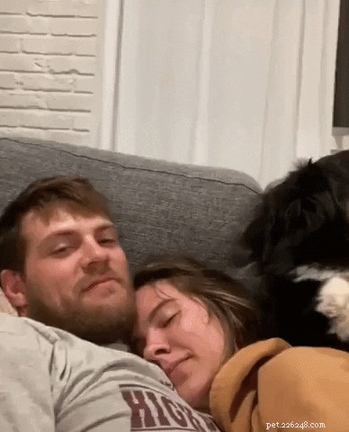 Meet 17 Adorable Dogs That Will Brighten Your Day