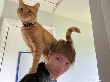 16 Pets Living Their Best Lives: Lessons From the Ultimate Furry Champions