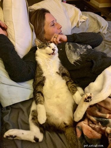 16 Pets Living Their Best Lives: Lessons From the Ultimate Furry Champions