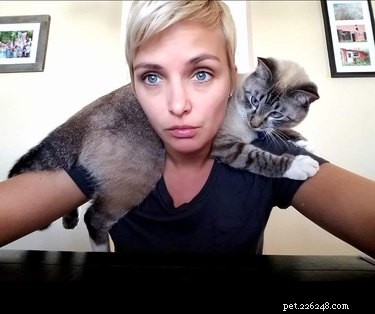 16 Pets Living Their Best Lives: Lessons From the Ultimate Furry Champions