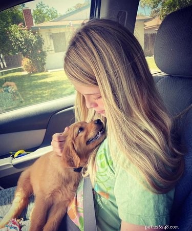 17 Heartwarming Pet Images That Guarantee Stress Relief