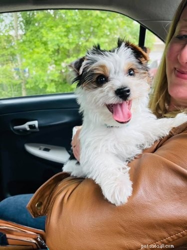 16 Adorable Pets That Are Taking the Internet by Storm