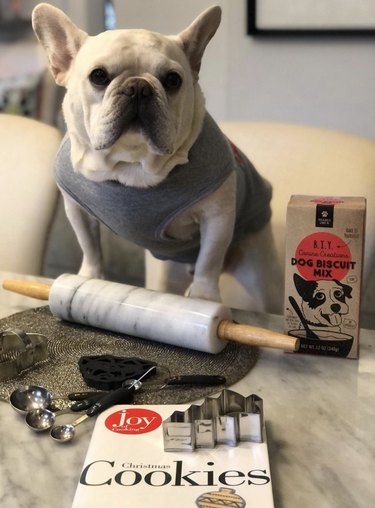 18 Canine Stars That Deserve Their Own Baking Show