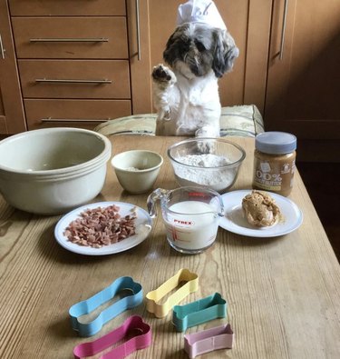 18 Canine Stars That Deserve Their Own Baking Show