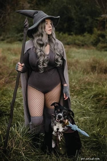The Ultimate Collection of Winning Dog Outfits from the Dress Up Challenge