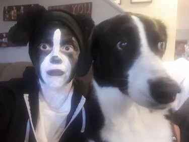 The Ultimate Collection of Winning Dog Outfits from the Dress Up Challenge