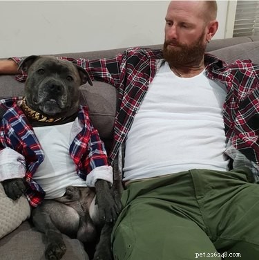 The Ultimate Collection of Winning Dog Outfits from the Dress Up Challenge