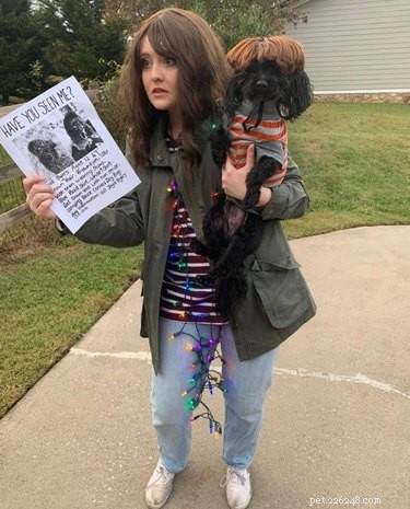 The Ultimate Collection of Winning Dog Outfits from the Dress Up Challenge