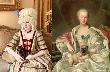 The Ultimate Collection of Winning Dog Outfits from the Dress Up Challenge