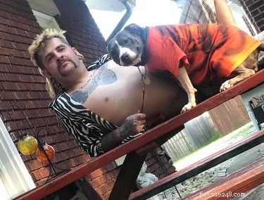 The Ultimate Collection of Winning Dog Outfits from the Dress Up Challenge
