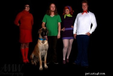 The Ultimate Collection of Winning Dog Outfits from the Dress Up Challenge