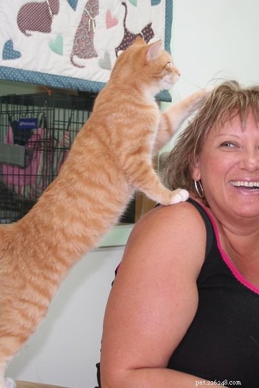 Top Heartwarming Moments from the #FirstPicChallenge: Pets’ First Photos