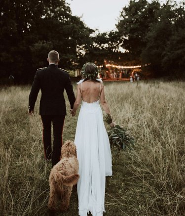 18 Heartwarming Dogs That Became the Stars of Their Wedding Ceremonies