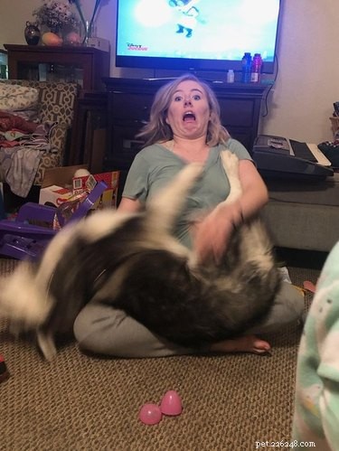 16 Adorable Blurry Dog Photos That Will Make You Smile