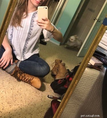 16 Adorable Blurry Dog Photos That Will Make You Smile