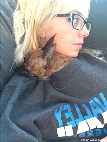 Velcro Dog Challenge: The Most Adorable Clingy Canines