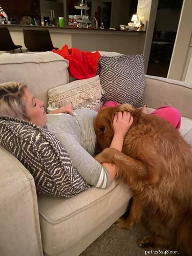 Velcro Dog Challenge: The Most Adorable Clingy Canines