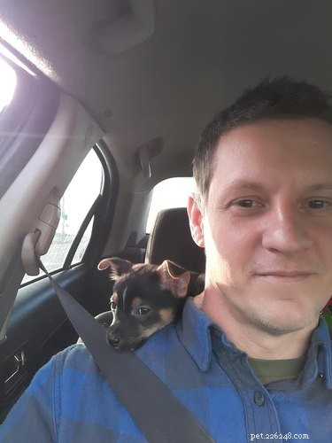 Velcro Dog Challenge: The Most Adorable Clingy Canines