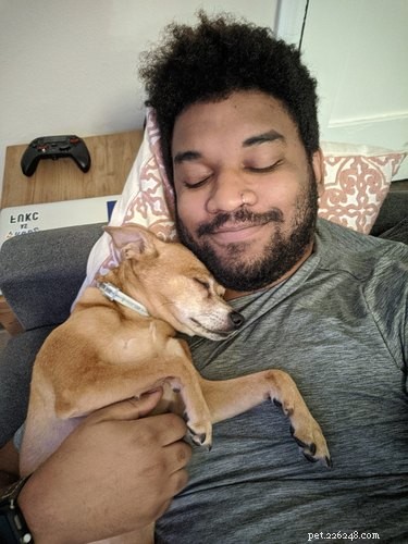 Velcro Dog Challenge: The Most Adorable Clingy Canines