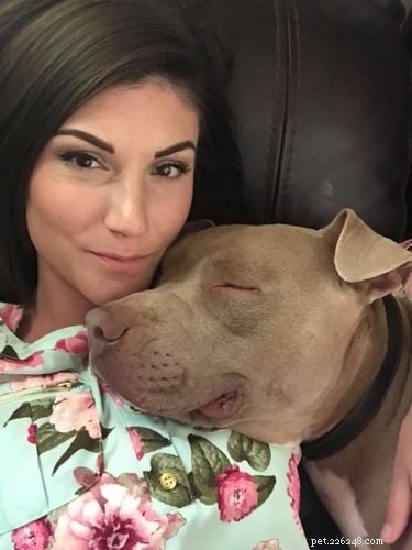 Velcro Dog Challenge: The Most Adorable Clingy Canines