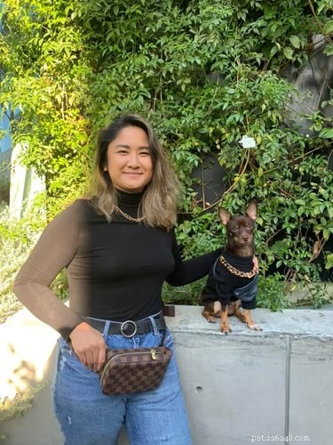 Pets Lookalikes Go Viral: Hilarious Photo Challenge Brings Laughter