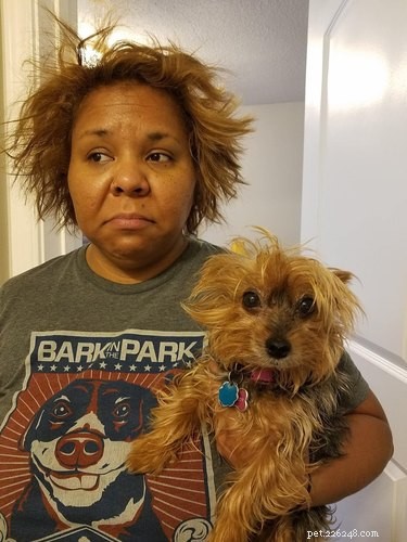 Pets Lookalikes Go Viral: Hilarious Photo Challenge Brings Laughter