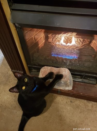 Top 7 Funniest Peets Memes That Will Make You Laugh
