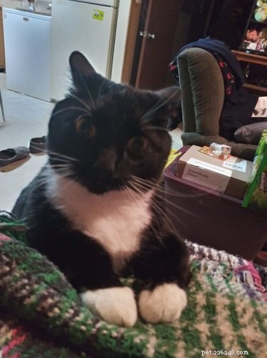 Top 7 Funniest Peets Memes That Will Make You Laugh