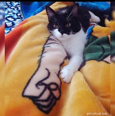 Top 7 Funniest Peets Memes That Will Make You Laugh