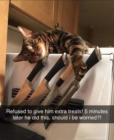 Top 7 Funniest Peets Memes That Will Make You Laugh