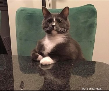 Top 7 Funniest Peets Memes That Will Make You Laugh