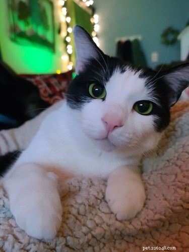 Top 7 Funniest Peets Memes That Will Make You Laugh