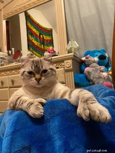 Top 7 Funniest Peets Memes That Will Make You Laugh