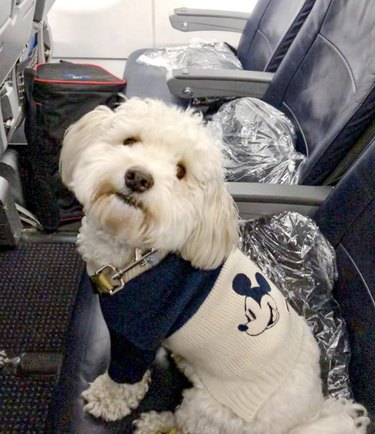 8 Kid‑Friendly Answers to Common Questions About Flying
