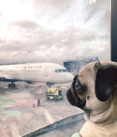8 Kid‑Friendly Answers to Common Questions About Flying