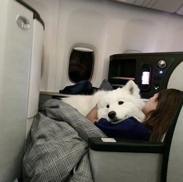 8 Kid‑Friendly Answers to Common Questions About Flying