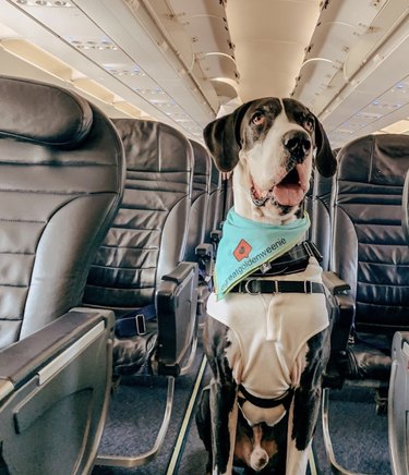 8 Kid‑Friendly Answers to Common Questions About Flying