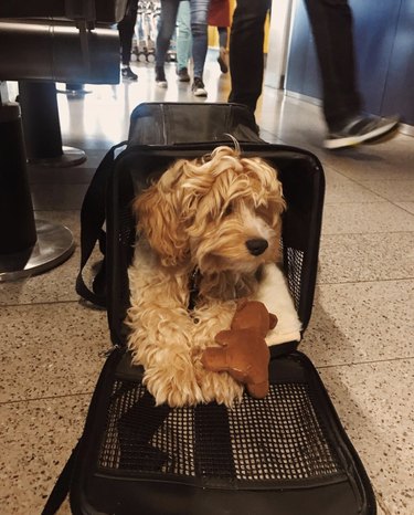 8 Kid‑Friendly Answers to Common Questions About Flying