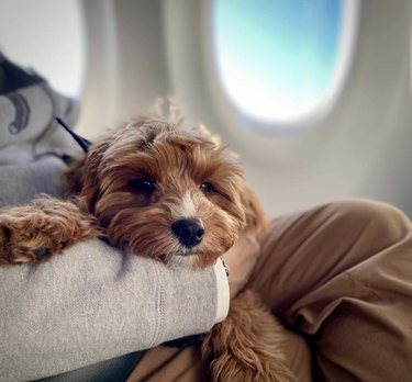 8 Kid‑Friendly Answers to Common Questions About Flying