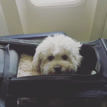 8 Kid‑Friendly Answers to Common Questions About Flying