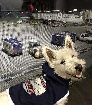 8 Kid‑Friendly Answers to Common Questions About Flying