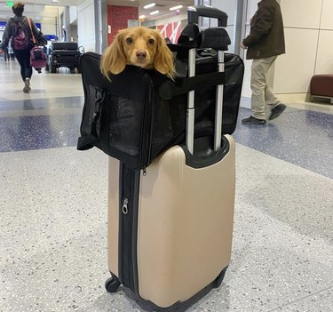 8 Kid‑Friendly Answers to Common Questions About Flying