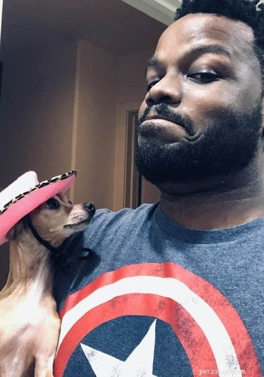 Best Disapproving Dog Challenge Moments: Adorable Pups Show Their Skepticism