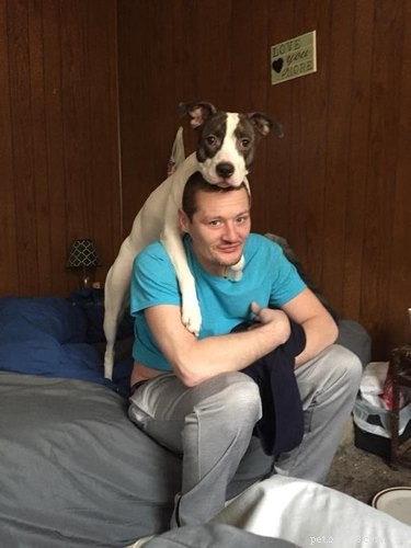 Top Moments from the #IDidntWantADog Challenge