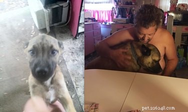 Top Moments from the #IDidntWantADog Challenge